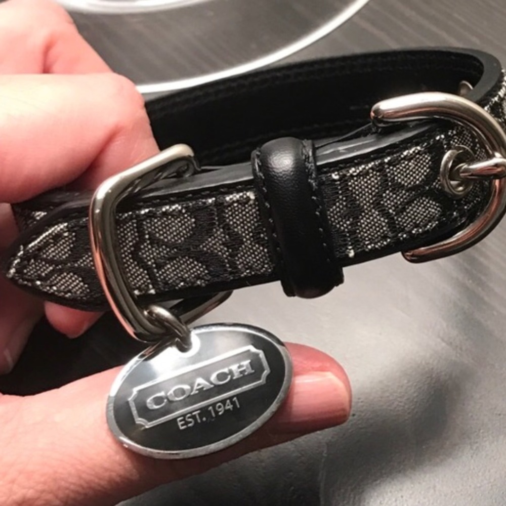 XSM dog collar never used. To small for my dog